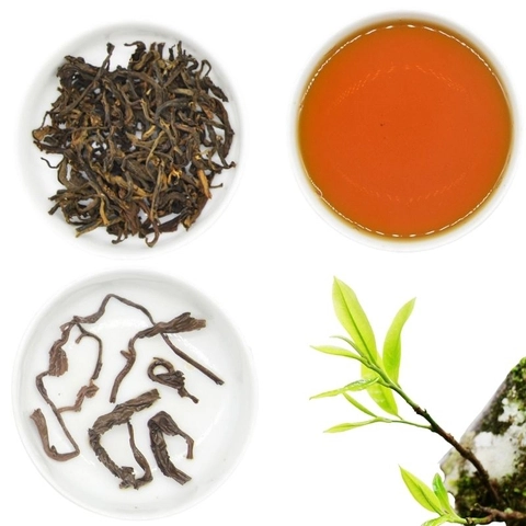1-8423b334-9764-4454-b9cb-e3372aaa4b68 Hồng Trà Shan Tuyết – Sương Đỏ