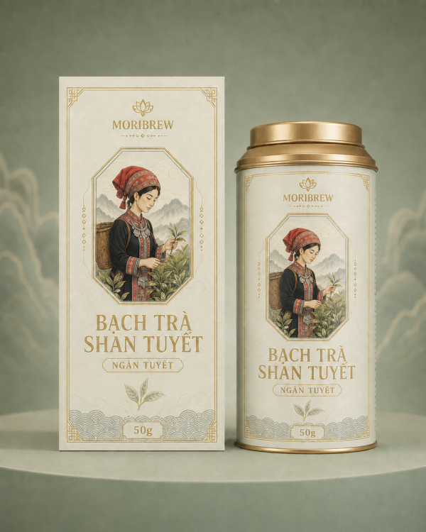 Bạch Trà Shan Tuyết – Ngân Tuyết Bạch Trà Shan Tuyết – Ngân Tuyết