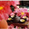 Hộp Quà Di Sản Việt