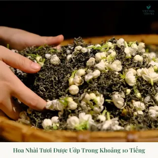 Combo Văn Phòng – Thức Tỉnh Dịu Êm