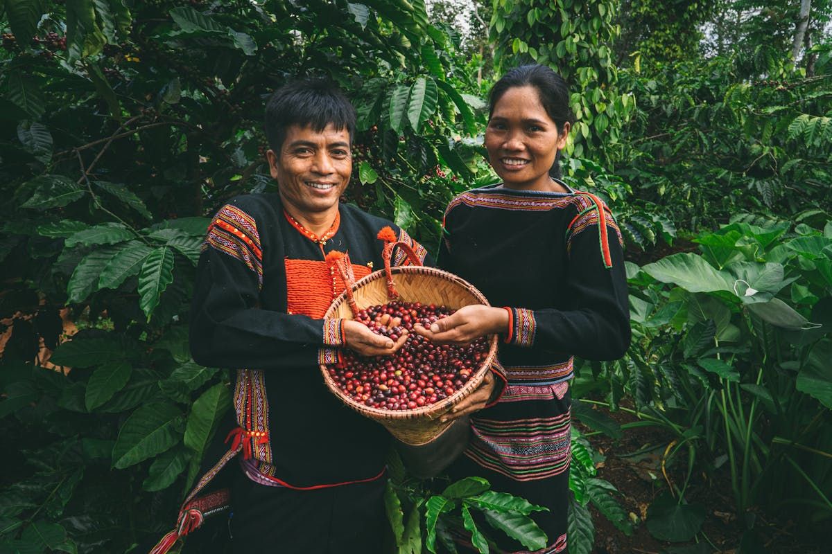 Chư Đăng Ya Tây Nguyên - vùng cà phê Mori Brew
